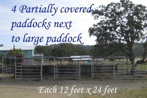 4 partially covered paddocks next to large paddock