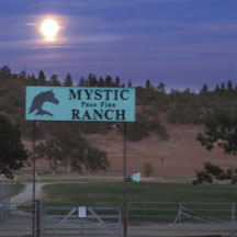 Moonrise-over-sign
